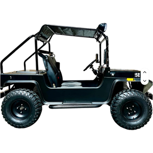 NOUVEAU ORIGINAL Mini Trail Rider 3000W Voiturette de golf électrique 60V 32Ah Batterie Transmission automatique - Product Image 2