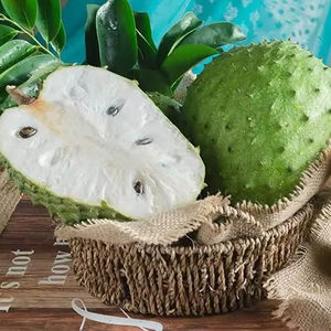 Guanábana congelada de alta calidad | 100% Fruta congelada fresca | El mejor precio al por mayor Guanábana congelada de Vietnam - Product Image 1