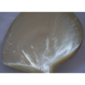 Seashell vàng tự nhiên mẹ ngọc trai đánh bóng đồ trang sức lớn vỏ với ngọc trai môi đánh bóng mẹ ngọc trai nguyên - Product Image 4