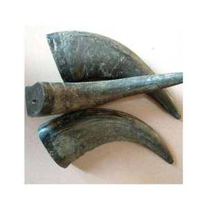 Pointes de corne de buffle naturelles de haute qualité, sculptées sur mesure, épaisses, couleur naturelle, écologiques, économiques, imperméables, faites à la main - Product Image 4