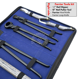 Kit Professionale per Maniscalchi con Coltello per Zoccoli, Coltello a Gancio, <span class=keywords><strong>2</strong></span> Martelli, Estrattore di Chiodi, Pinze per la Cura degli Zoccoli - Product Image 4