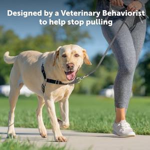 Sedang merah/hitam tidak ada tarikan tali anjing pengendali utama untuk sikap yang lebih baik membantu mencegah hewan peliharaan untuk menarik jalan - Product Image 3