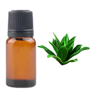 KEWDA 100% Huile essentielle de qualité supérieure pure OEM Vente en gros Quantité en vrac Inde Hydrosol Nature Kanha Nature Huiles Fabricant - Product Image 4