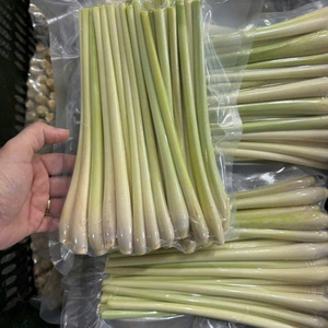 Citronnelle surgelée de qualité supérieure du Vietnam, riche en arôme, pour les restaurants et la restauration - Product Image 5