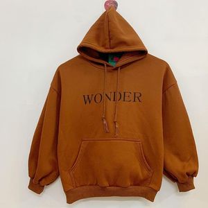 Sudadera con Capucha de Alta Calidad, 100% Algodón, Invierno, Lisa, Unisex, Tejido Grueso, Ecológica, Transpirable, con Bolsillo, Logotipo Personalizado, para Hombre, OEM - Product Image 4