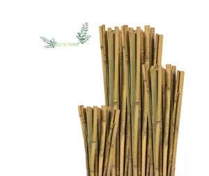 Good Price Vietnam Supplier Bamboo Sticks For Plant/ Bamboo Sticks Garden From Eco2go Vietnam