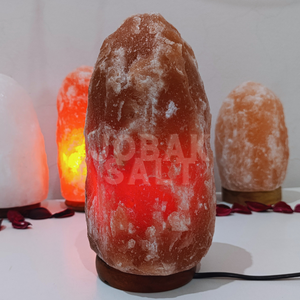 CE Certified Factory Direct Wholesale Himalayan Salt <b>Lamps</b> Reddish Tone with Feng Shui Style Carved Technique Custom Sizes - Product Image 4