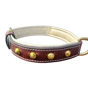 Collier de chien en cuir marron robuste de qualité supérieure bords arrondis coutures complètes en laiton massif métal luxe imprimé personnalisé - Product Image 2