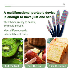 Cuchillo de Chef con Hoja de Cerámica Pequeña y Mango de Plástico, Personalizado para Uso Doméstico, Venta Directa de Fábrica, Artesanía de Alta Calidad - Product Image 3