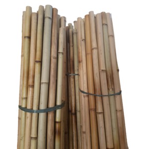 Poteau en bambou Prix bon marché Vietnam/ 100% Poteau en bambou naturel, jardin de soutien aux plantes écologique, décoration - Product Image 2