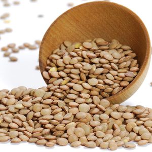 Direct Supply of Premium Quality Organic Dried Lentils Beans Fresh New Crop Bulk Wholesale for Sale - Product Image 4