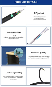 Chất lượng cao 24 lõi FTTH ngoài trời sợi cáp quang không khí thổi gcyfty Micro Cáp Quang được sản xuất bởi không khí thổi kỹ thuật - Product Image 3