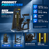 Appareil de musculation à poulies BN pour l'entraînement des muscles du bas du dos et des fessiers – Machine commerciale d'extension dorsale