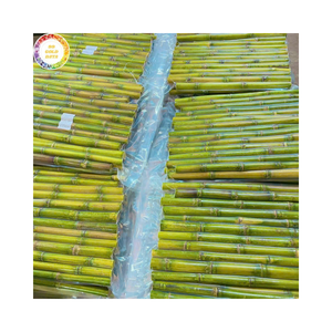 Wholesale Frozen Sugarcane Sticks High Sweetness Natural Sugarcane for Refreshing Juice and Drinks Export - Product Image 1