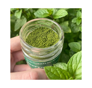 Superior Quality Water Soluble Mint Leaf Herbal Extract Powder Health Food Grade 25 KG <b>Polybag</b> Packaging Made India Worldwide - Product Image 5
