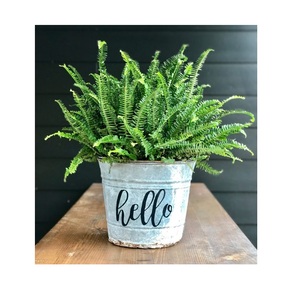 Garden Winds Oblong Planter Galvanized Metal Planters & Cast Iron Tubs oval shape best selling modern galvanized planters - Product Image 4