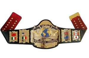 Ceinture de championnat WF Hogan 87 en cuir véritable plaqué or - Product Image 4