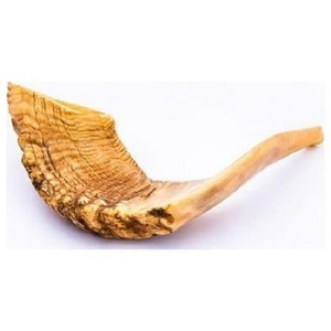 Jewish Shofar Horn From Israel Authentic Polished Shofar Size 30 cm - 35 cm 11.8 Inch - 13.77 Inch - Product Image 5