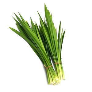 FEUILLES DE PANDAN CONGELÉES DE HAUTE QUALITÉ/SAVEUR NATUREL/UTILISATION DANS L'INDUSTRIE ALIMENTAIRE/EMBALLAGE EN VRAC - Product Image 2