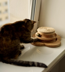 Nueva llegada de madera para gatos, torre de rascado, cuerda Natural, poste rascador para gatos con bolas rodantes, juguete ecológico para gatos de algas marinas - Product Image 4