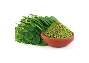 Extrait de feuilles de Moringa Oleifera biologique en vrac en gros, produit riche en protéines, poudre de feuilles de Moringa sauvage indienne, extrait à base de plantes - Product Image 4
