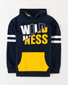 Vente en gros 2026 Sweat à capuche en molleton personnalisé pour homme Streetwear Pull avec motif imprimé Col à capuche Vêtement de mode extérieur - Product Image 1