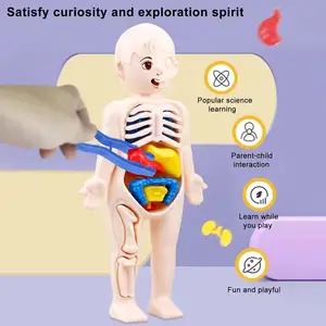 Kit Sains pembelajaran & Pendidikan suku cadang tubuh manusia, Kit Sains bongkar pasang interaktif untuk anak usia 8-12 tahun