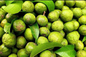 FRUITS DRACONTOMELON CONGELÉS DE QUALITÉ SUPÉRIEURE/GOÛT AIGRE NATUREL/QUALITÉ DE QUALITÉ D'EXPORTATION/PRÊT À L'EMPLOI - Product Image 6