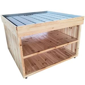 Expositor Moderno de Pie para Suelo - Podio de Madera Pulida con Bandeja de Agua 100 x 200 x 60 cm - Product Image 2