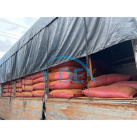 Poudre de bois en poudre de Joss du Vietnam de haute qualité à haute viscosité pour l'industrie de l'encens Agarbatti à partir de Litsea