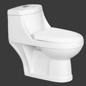 Articles sanitaires promotionnels-Commode de salle de bain monobloc en céramique blanche de l'Inde, placard à eau au sol - Product Image 2