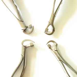 Fórceps de extracción dental manual Medicab Color plateado y dorado Acero inoxidable Reutilizable de alta calidad con garantía de 5 años - Product Image 5