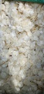 เกล็ดปลาแห้งวัตถุดิบจากเวียดนามสำหรับโรงงานคอลลาเจน - Product Image 4