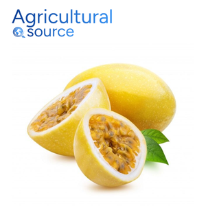 เสาวรสคุณภาพเยี่ยมสุดพิเศษจากเวียดนาม-ผลไม้สดช่วยเสริมสร้างสุขภาพผิวที่ดีสำหรับแยมโฮมเมดจากโรงงานเวียดนาม - Product Image 4