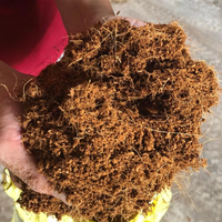 Buatan Vietnam kebun alami Coco gambut 5Kg blok untuk menumbuhkan tanaman Coco Coir Gambut Batu Bata