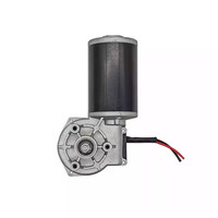 Moteur sans balais à engrenages à vis sans fin multifonctionnel 12-24V DC pour vélo électrique, appareils électroménagers, utilisation marine, haute efficacité IE4, prix bas