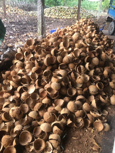 Conchas de coco naturales para exportación, ideales para producción de carbón vegetal y aplicaciones artesanales - Product Image 3