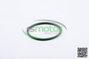 Joint torique OEM pour RS-01153844 MWM pour moteur à gaz naturel Pièces de machines neuves - Product Image 4