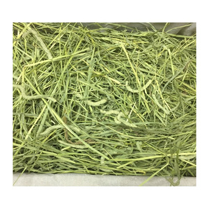 หญ้าทิโมธีคุณภาพสูงสำหรับม้า วัว หมู - หญ้า/เม็ดอาหารสัตว์ นำเข้าจากแคนาดา - Product Image 1