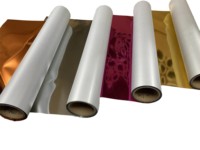 Alta calidad Splendid Grades Selcam DTF Film PET Material Impresión digital Papel de transferencia de calor Hot Peel Fantastic
