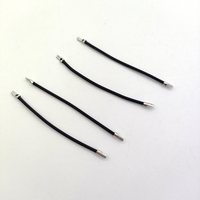 Profesional pabrik disesuaikan kawat hitam 2-terminal Harness