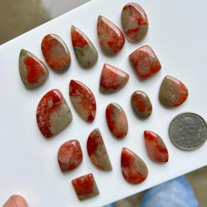 Red Horn Coral Cabochon Red Utah Coral Lo mejor para regalar Colección exclusiva de coral En precio al por mayor Cómpralo ahora - Product Image 4