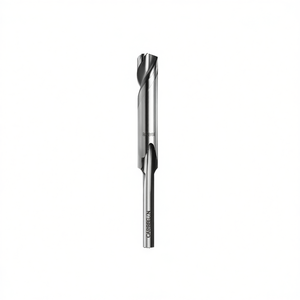 Fraise à rainurer Festool HS S8 à pointe en carbure - Product Image 2