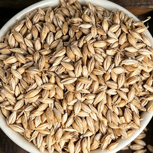 Semillas de cebada para alimentación de ganado, brotes de cebada para ovejas, granos de cebada directamente de fábrica, 2 años de vida útil. - Product Image 1