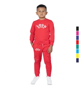 2023 Custom Kids Sweatsuit Sets Girl And Boy Clothing Two Piece Jogging Suits Hoodie Sets Kids Clothing Sports Tracksuits Sets