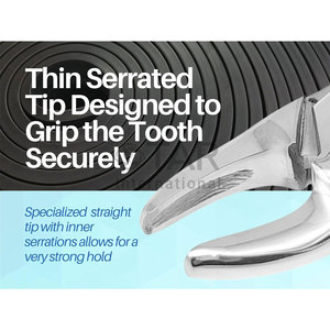 Fórceps de extracción de dientes dentales de primera calidad, incisivos, caninos, premolares, dientes superiores e inferiores, extracción oral, instrumentos médicos - Product Image 5