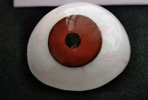 SS Fabricación Ojo artificial Prótesis Color marrón Vintage Ojo protésico humano - Product Image 2