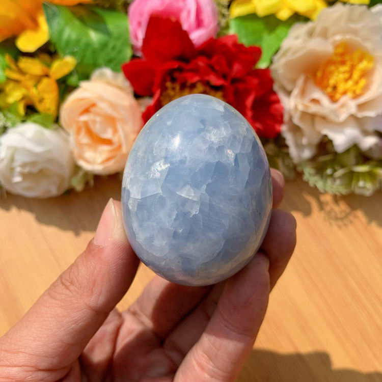 ตามที่แสดง