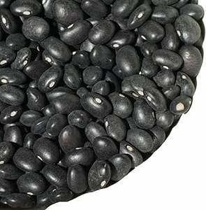 Frijoles de riñón negros moteados ligeros del fabricante Frijoles de Pinto y azul marino secos y envasados a granel para uso alimentario disponibles a granel - Product Image 6