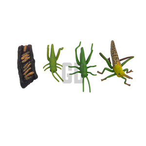 Cycle de vie des grillons : Védez la transformation de la nature, les merveilles des émeutes de grillons! - Product Image 1